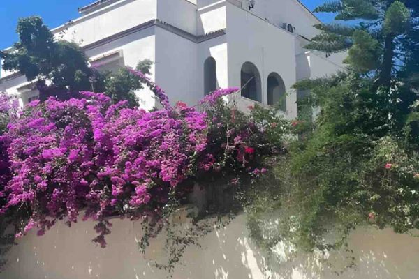 Vente Villa Tipaza Cherchell